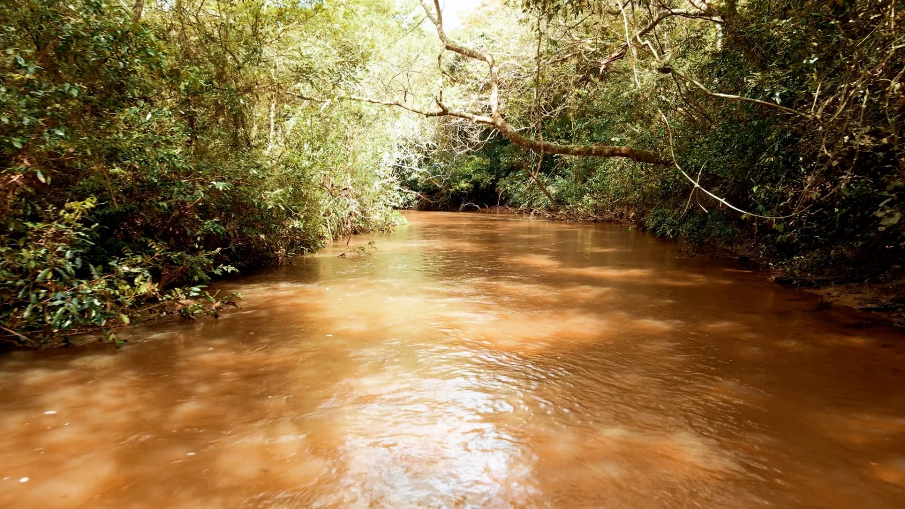 Arroyo Yhaca